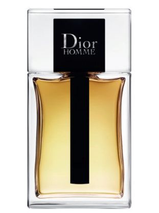 Picture of Dior Dior Homme 2020
