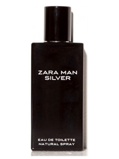 Picture of Zara Man Silver